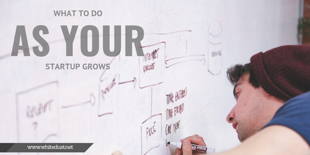 What To Do As Your Startup Grows