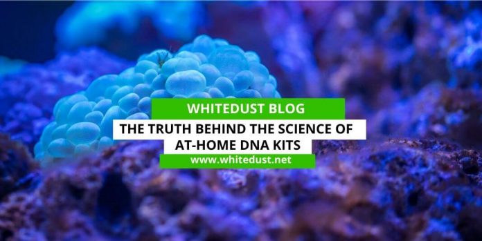 The Truth behind the Science of At-Home DNA Kits